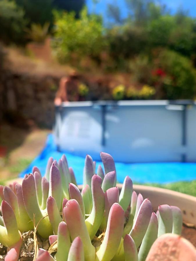 La Casita De La Esperanza Villa La Esperanza  Екстериор снимка